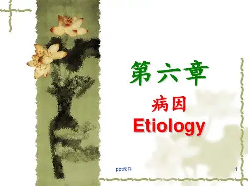 《中医基础理论》病因  ppt课件