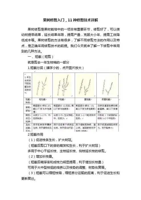果树修剪入门，11种修剪技术详解