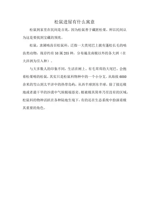 松鼠进屋有什么寓意