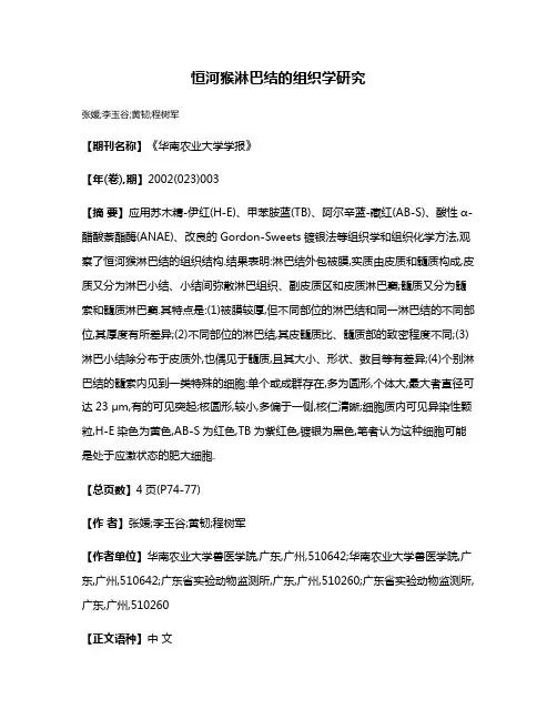 恒河猴淋巴结的组织学研究