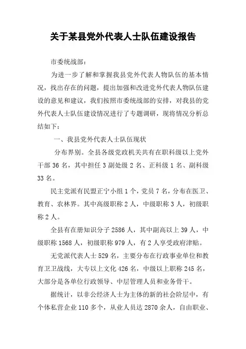 关于某县党外代表人士队伍建设报告