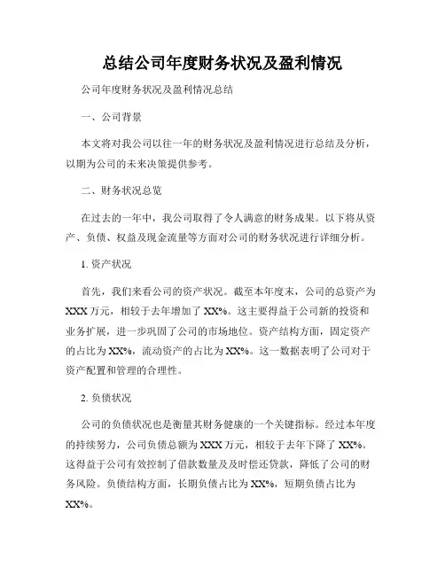 总结公司年度财务状况及盈利情况