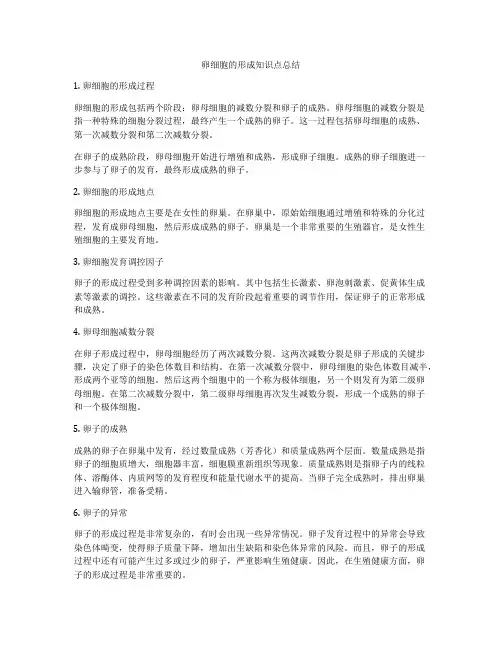 卵细胞的形成知识点总结