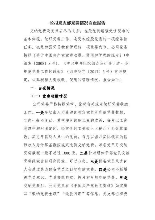 2020年公司党支部党费情况自查报告.docx