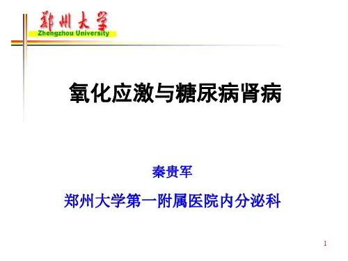 氧化应激ppt课件