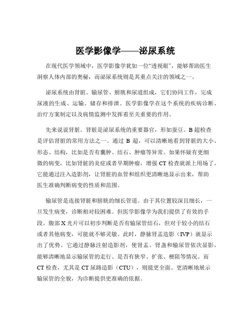 医学影像学——泌尿系统