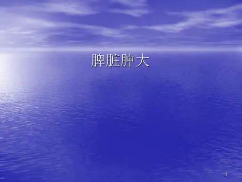脾脏肿大