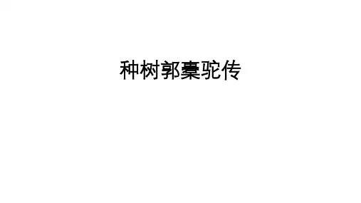 《种树郭橐驼传》复习课件 高考语文古诗文阅读与默写专项训练(统编版)