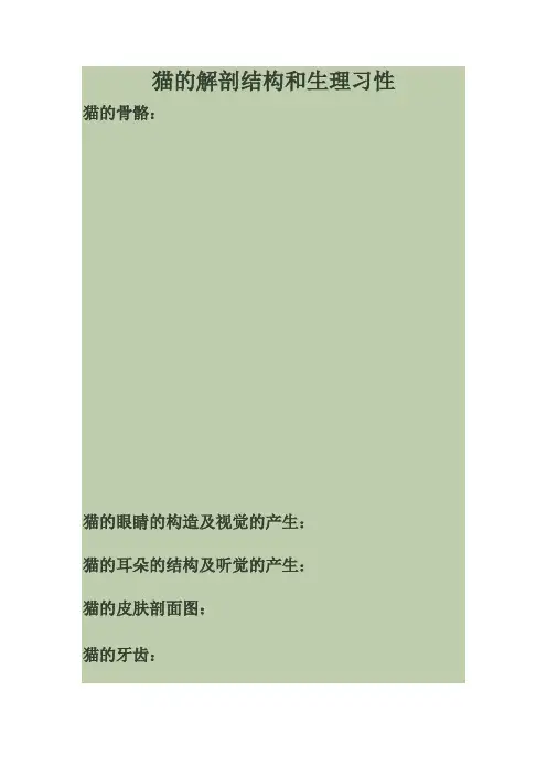 猫的解剖结构和生理习性