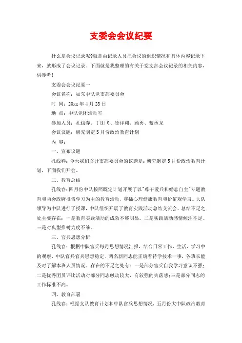 支委会会议纪要