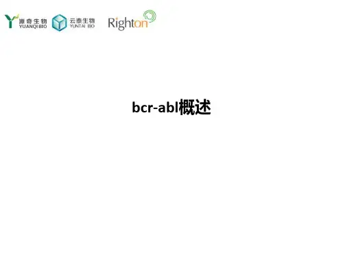 bcr-abl概述