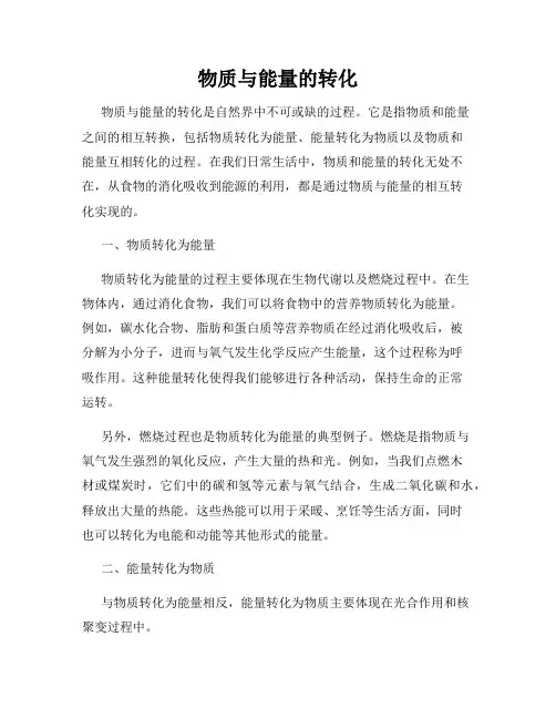 物质与能量的转化