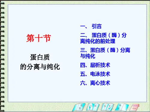 蛋白质分离技术全ppt课件