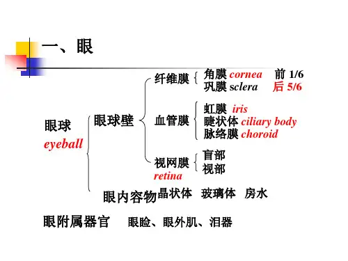 第9章眼和耳ppt课件