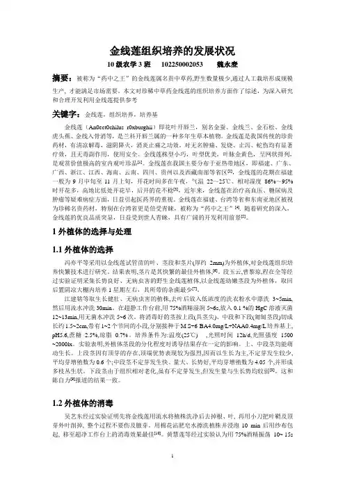 金线莲研究进展