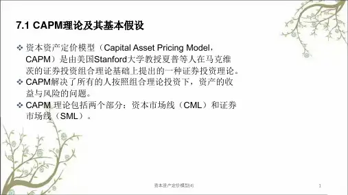 资本资产定价模型4课件