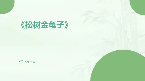 松树金龟子