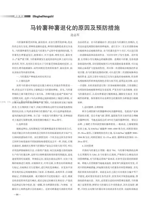 马铃薯种薯退化的原因及预防措施