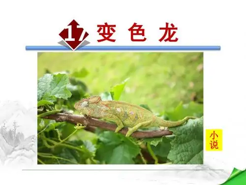苏教版八年级语文下册第四单元 17.变色龙 PPT课件