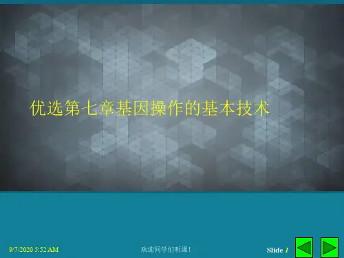 优选第七章基因操作的基本技术
