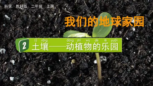 最新教科版小学科学二年级上册《土壤——动植物的乐园》优质教学课件