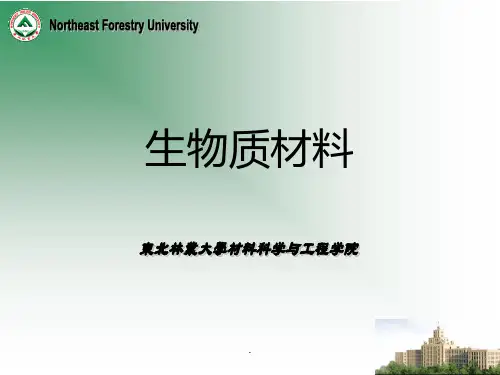 木质素PPT课件
