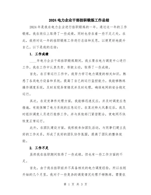 2024电力企业干部挂职锻炼工作总结
