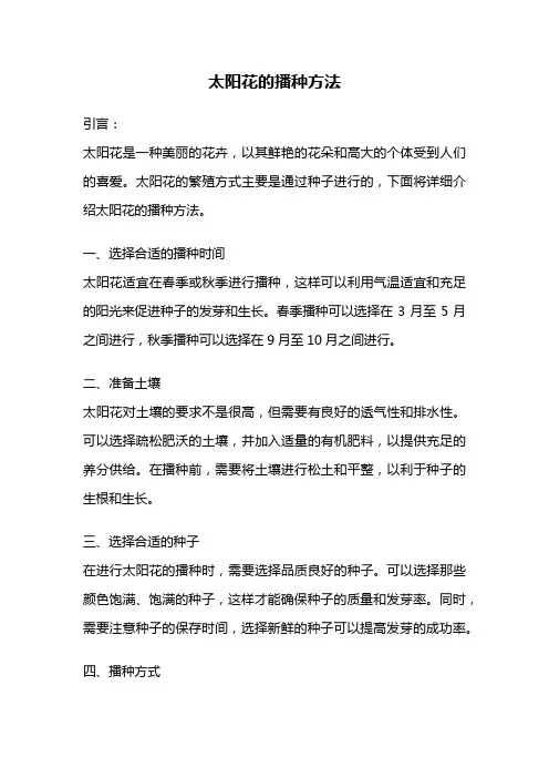 太阳花的播种方法
