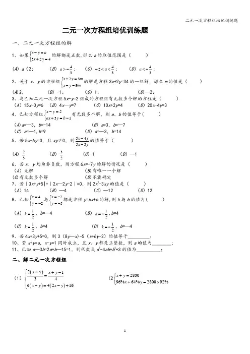二元一次方程组培优训练题