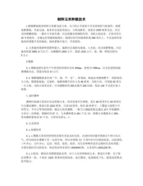 制种玉米种植技术