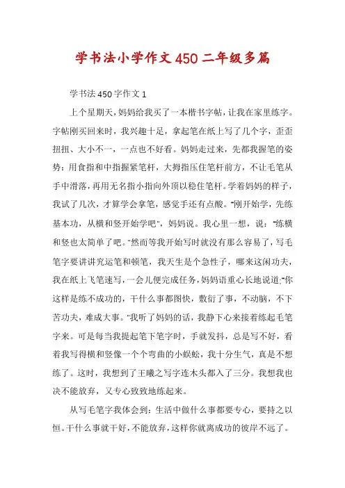 学书法小学作文450二年级多篇