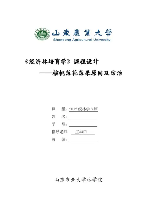 经济林课程设计