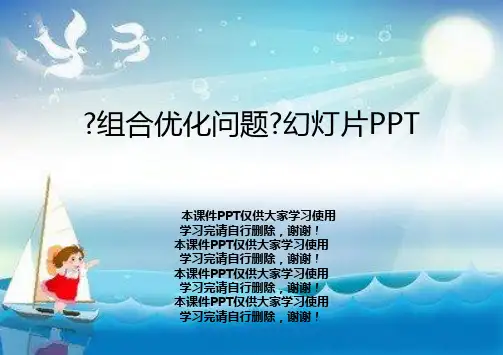 《组合优化问题》幻灯片PPT