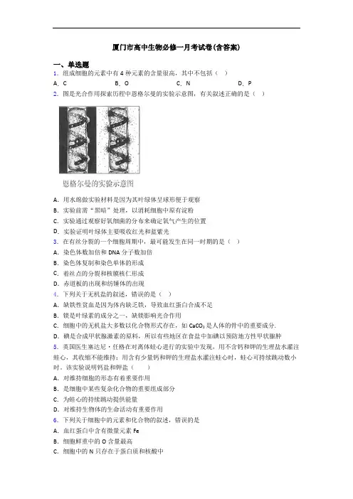 厦门市高中生物必修一月考试卷(含答案)