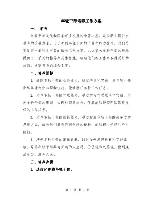 年轻干部培养工作方案