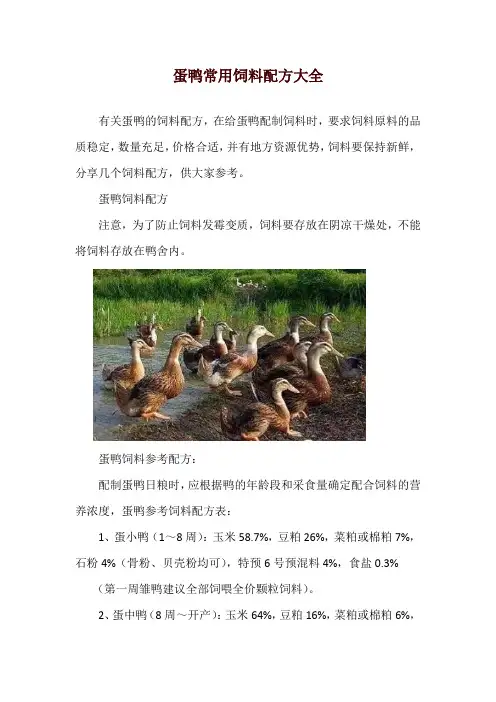蛋鸭常用饲料配方大全