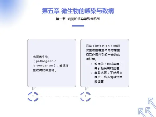 微生物的感染与致病