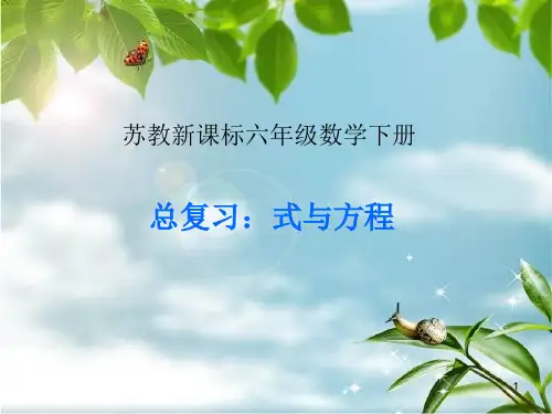 新课标苏教版六年级数学下册《总复习-式与方程PPT课件》可修改全文