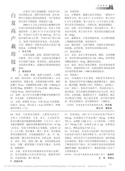 白芨高产栽培技术
