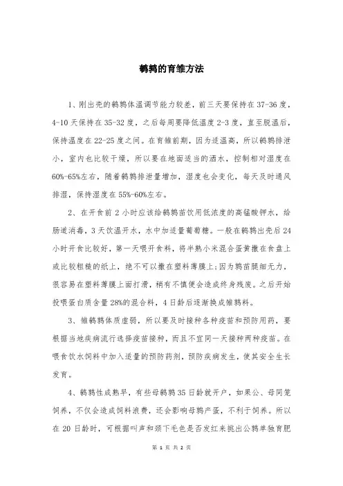 鹌鹑的育雏方法