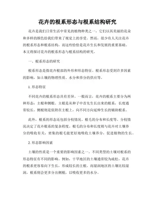 花卉的根系形态与根系结构研究