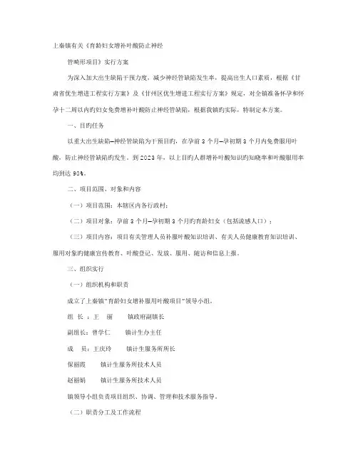 叶酸实施方案