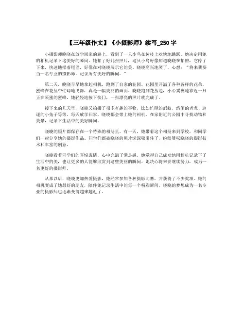【三年级作文】《小摄影师》续写_250字