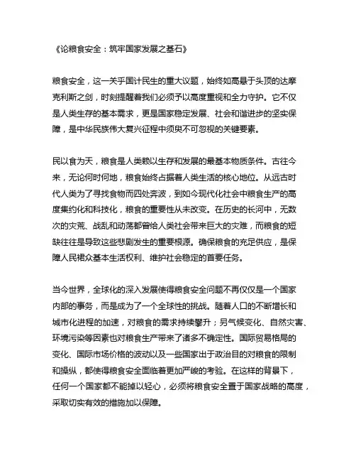 关于粮食安全的申论写作