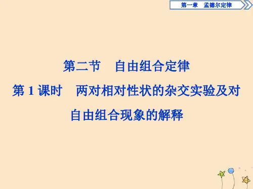 高中生物第一章第二节自由组合定律第1课时两对相对性状的杂交实验及对自由组合现象的解释课件浙科版必修2