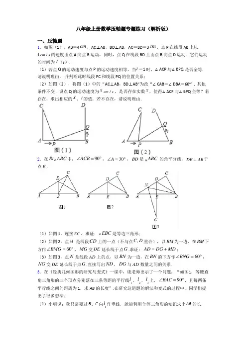 八年级数学上册期末压轴20题(解析版)