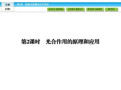 (人教版)高中生物必修一：5.4《光合作用的原理和应用》ppt课件