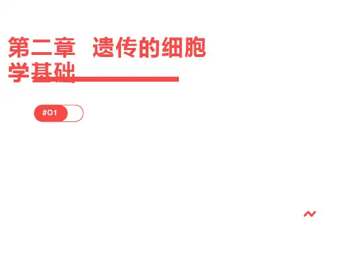 遗传的细胞学基础学