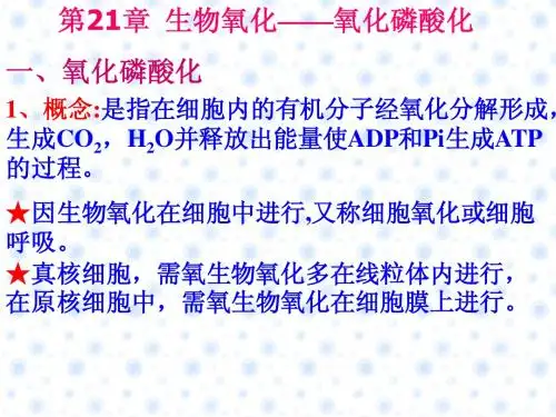 第21章  生物氧化——氧化磷酸化