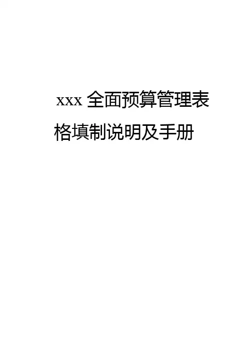 全面预算管理表格填制说明及手册
